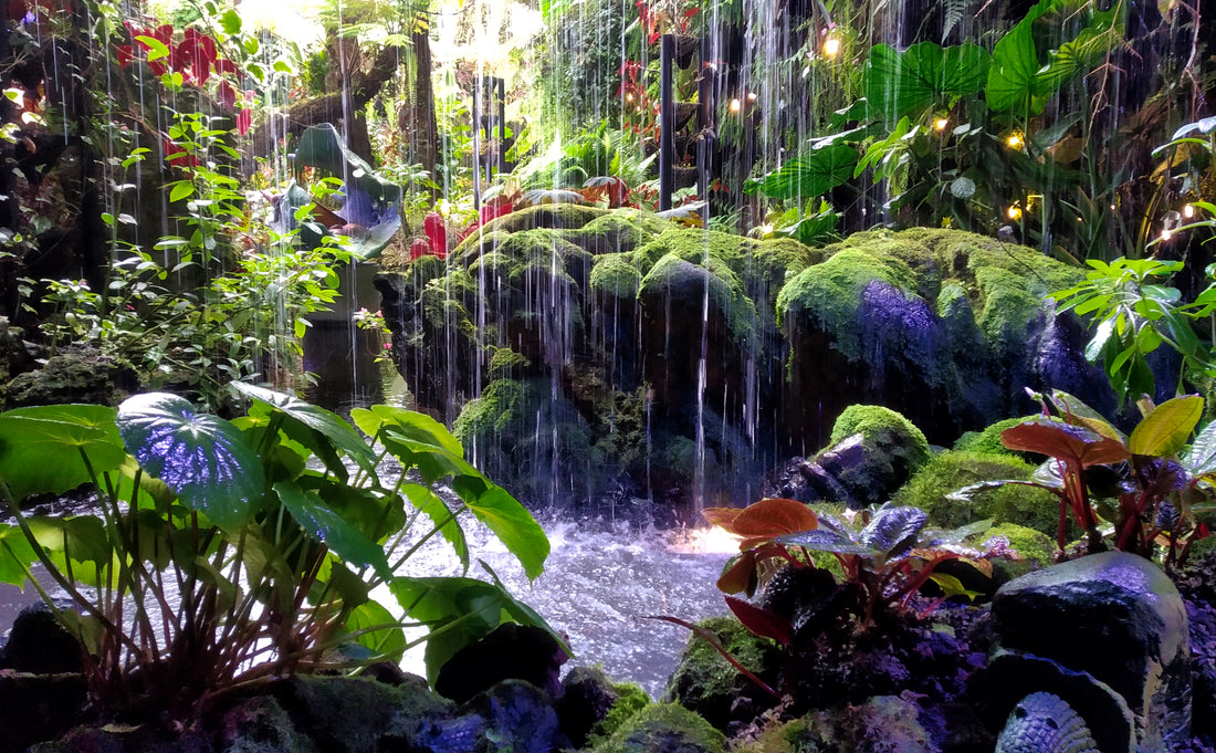 Get Out! – Gardens By The Bay – Cloud Forest Dome